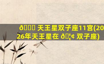 🐟 天王星双子座11宫(2026年天王星在 🦢 双子座)